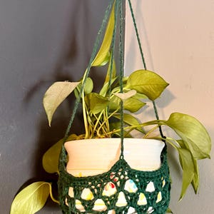 May include: A hanging plant pot with a green crocheted holder and a wooden ring. The pot is filled with a green leafy plant. The crocheted holder has an open, geometric design. The pot hangs from the ceiling.
