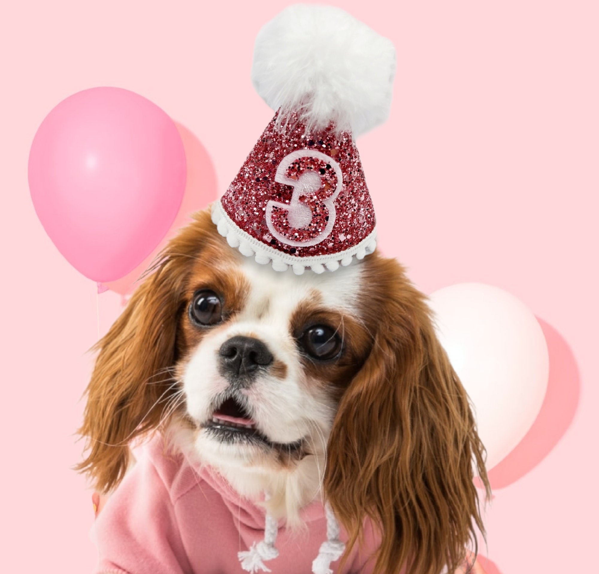 Dog party hat party hats mini puppy party hat baby birthday Etsy