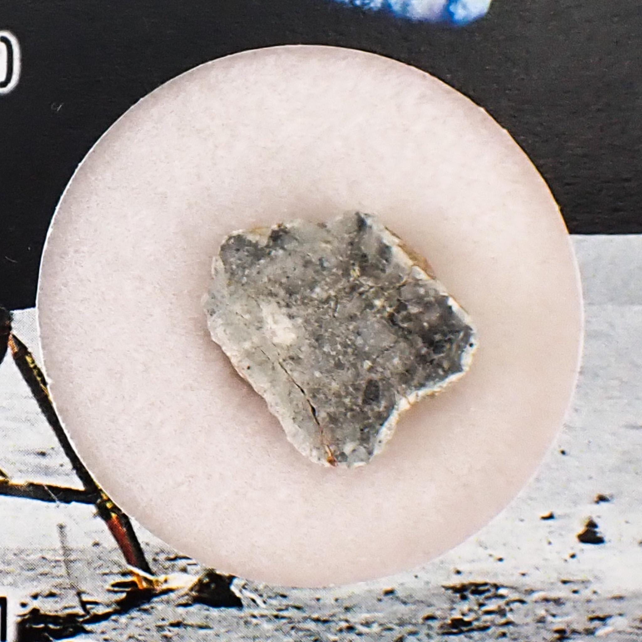 Gadamis 003 'The Apollo Lunar' 月隕石フェローン斜長石 - 1.14 g