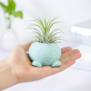 Cute Cartoon Small Animal Succulent Flower Pot, Cartoon Pokemon Succulent Flower Pot, Perfect Gift for Plant Lovers & Pokemon Enthusiasts