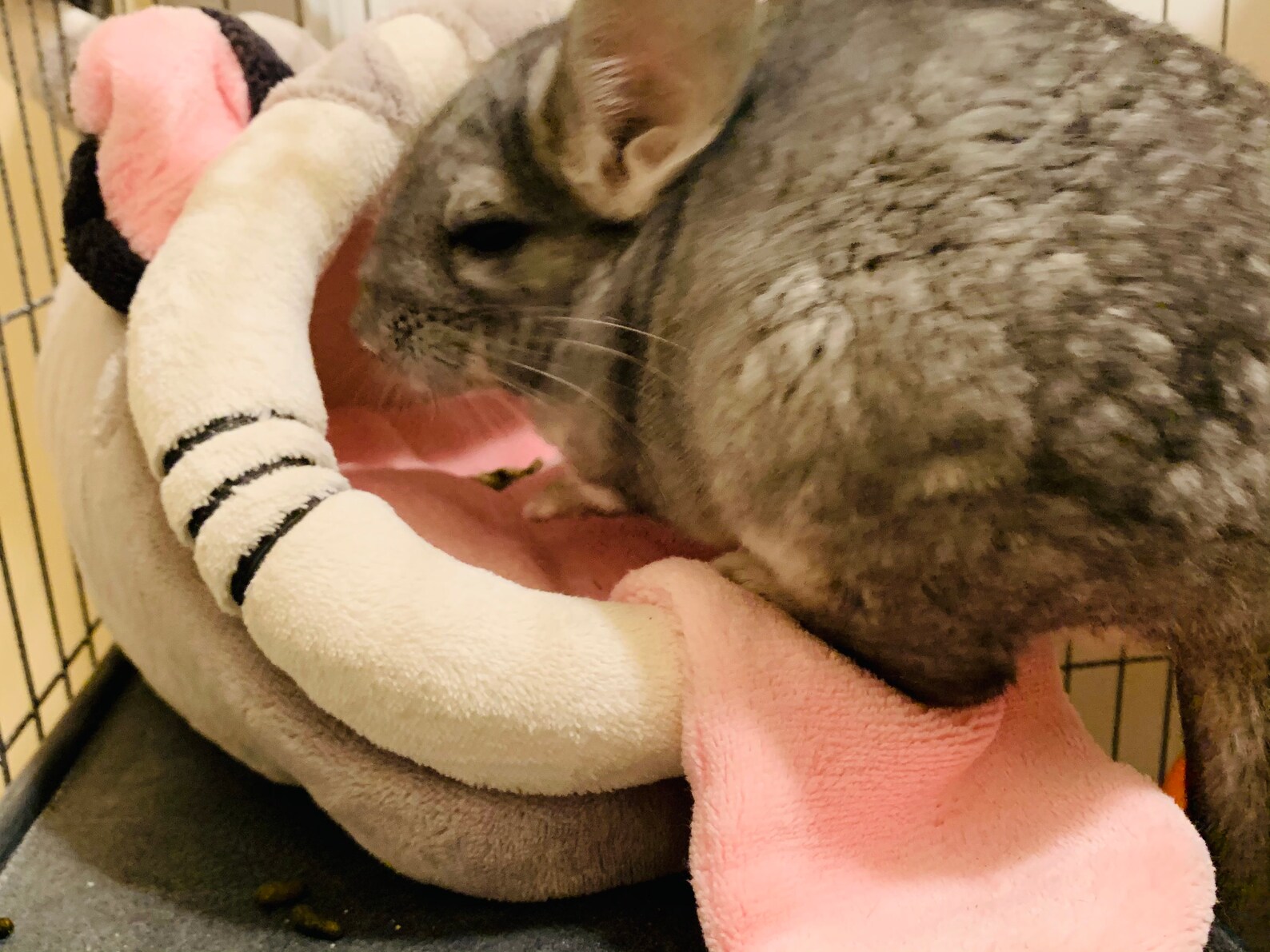 Chinchilla fleece bed/nest Etsy