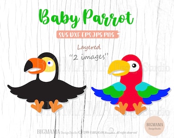 Baby Parrot SVG,Parrots Svg For Cricut,Cut File,Layered,Bird,DXF,Safari Animals Svg,PNG,Clipart,Vinyl,Silhouette,Instant download_CF199