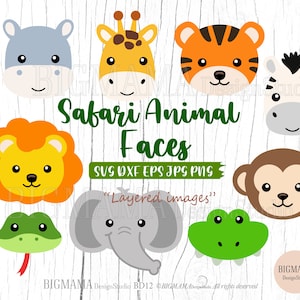 Safari Animal Face SVG, arquivo de corte de animal, pacote, em camadas, aniversário Svg, fofo, animal de estimação, PNG, rostos, zoológico, PNG, clipart, silhueta, download instantâneo_BD12