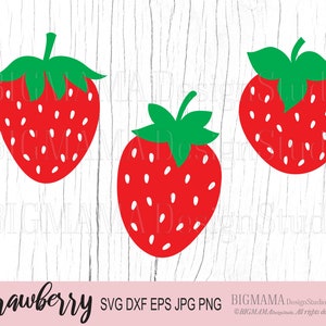 Strawberry SVG,Fruit,DXF,Strawberries svg,Strawberry cut file,Cutting,Cricut,Silhouette,Commercial use,Digital,Instant download_CF27
