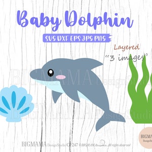 Süßer Delfin, SVG, Baby, SVG, SVG, Datei, Layered, DXF, Meerestier, Baby Shower, Geburtstag, CriCut, PNG, Silhouette, Instant download_KF247