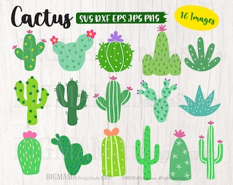 Cactus SVG,Cactus svg files for cricut,Cactus svg Bundle,PNG,DXF,Cactus Cut ifle,Cricut,Silhouette,Commercial use,Instant download_CF57