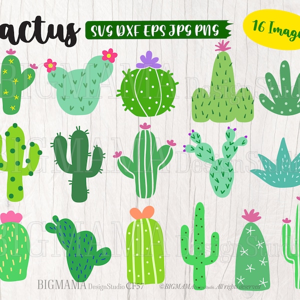 Cactus SVG,Cactus svg files for cricut,Cactus svg Bundle,PNG,DXF,Cactus Cut ifle,Cricut,Silhouette,Commercial use,Instant download_CF57