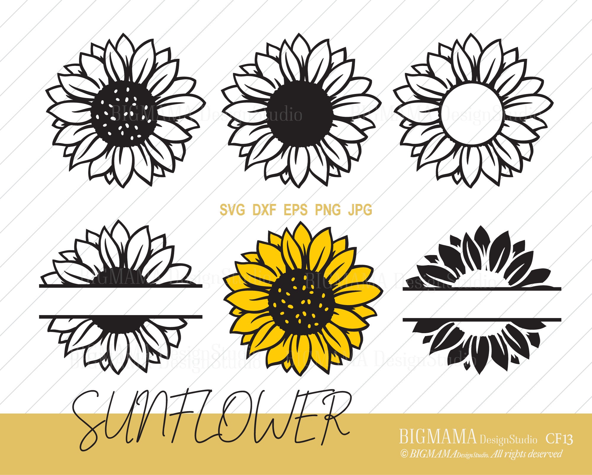 Sunflower cricut discount