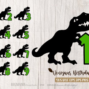 Dinosaurier Geburtstag SVG,Dino,Party,T-rex,Dianosaurier mit Zahl,Geburtstag,Tshirt,Dino,Cut File,Cricut,PNG,DXF,Silhouette,Instant download_D10