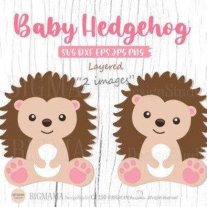 Baby Hedgehog SVG,Woodland Animals,Nursery,Hedgehog Svg File,Cute,Vinyl,PNG,Mug,Clipart,Layered,DXF,Silhouette,Instant download_CF210