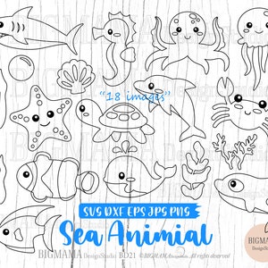 Zeedieren overzicht SVG, gesneden bestandsbundel, oceaan, zeester, dolfijn, schildpad, verjaardag, tweekleppig schelpdier, schelp, digitale postzegels, Cricut, cameo, instant download_BD21