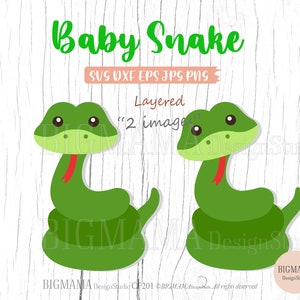 Baby Snake SVG, Snake Svg para Cricut, Arquivo de corte, Em camadas, Berçário, DXF, Safari Animals Svg, Fofo, PNG, Clipart, Vinil, Silhueta, Download instantâneo_CF201