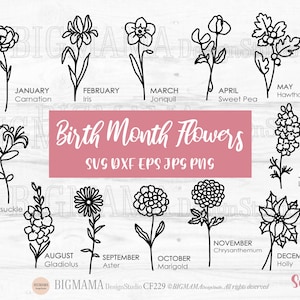 Mes de nacimiento Flores Svg,Flor silvestre,Flor de cumpleaños,paquete,DXF,Botánico,Floral,Clavel,Acebo,PNG,Cricut,Silueta,Descarga instantánea_CF229