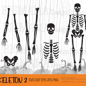 Skeleton SVG,Halloween,Skeleton Bones,Skeleton bundle,Rib Cage,Sweatshirt,Skeleton Parts Cut File,Cricut,Silhouette,Instant download_CF231