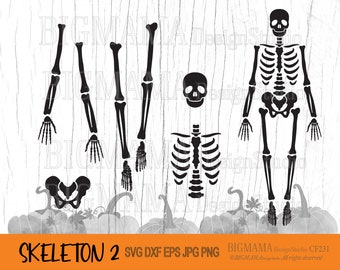 Puede incluir: Siluetas de esqueletos en blanco y negro para manualidades. El conjunto incluye un esqueleto completo, una caja torácica, una pelvis y dos brazos. Los esqueletos están sobre un fondo de madera blanca con calabazas.