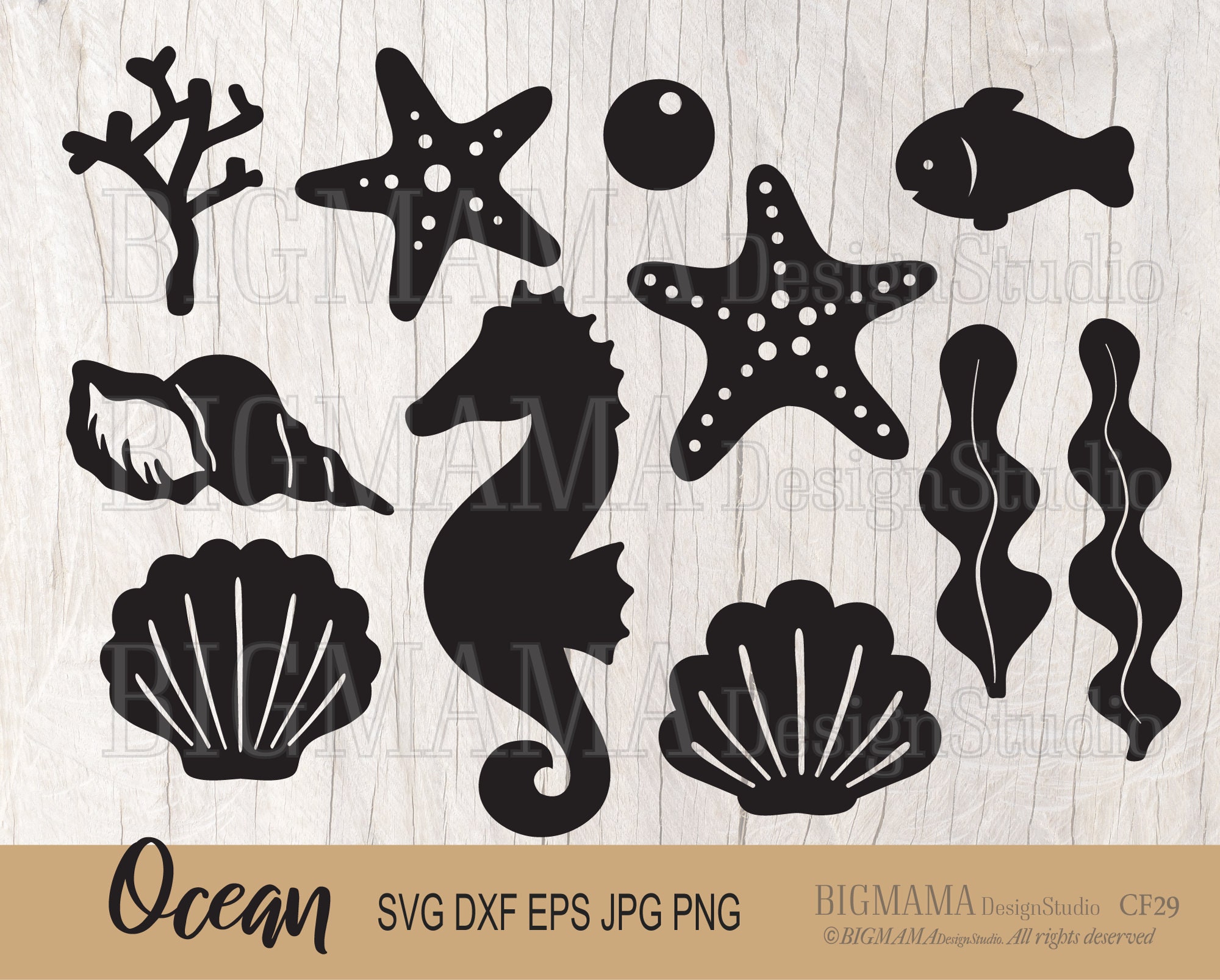 png Cricut Silhouette Dxf Summer SVG Sea Life Animal Ocean Seashell Starfish Octopus Nautical Seahorse kids Monogram Frame SVG Eps