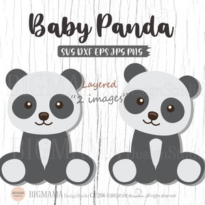 Bebê Panda SVG, Animais da floresta Svg, Berçário, Arquivo Panda Svg, Vinil, Panda Svg para Cricut, Em camadas, DXF, Cricut, Silhueta, Download instantâneo_CF206
