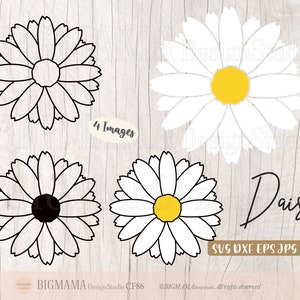 May include: Four images of a daisy flower. The first image is a black and white outline of a daisy. The second image is a white daisy with a yellow center. The third image is a black and white outline of a daisy with a black center. The fourth image is a white daisy with a yellow center.
