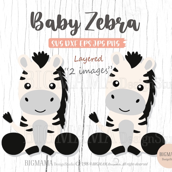 Baby Zebra SVG,Zebra Svg For Cricut,Cut File,Layered,DXF,Safari Animals Svg,PNG,Clipart,Vinyl,Silhouette,Instant download_CF198