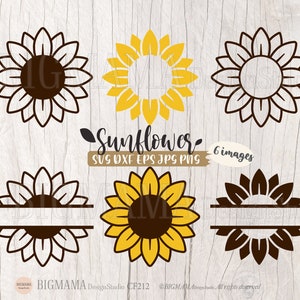 Girassol Svg, Nome, DIY, Floral, Pacote, Camisa, Vinil, PNG, Arquivo de Corte, DXF, Cricut, Silhueta, Download instantâneo_CF212