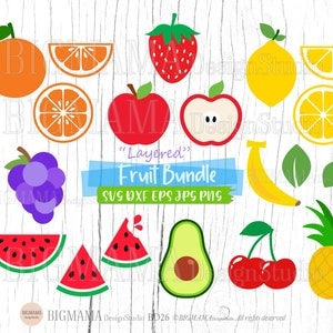 Fruit SVG Bundle,Cut File,Layered,Lemon,Cherry,Strawberry,Orange,Watermelon,Pineapple,Apple,Summer,Clipart,Cricut,Instant download_BD26