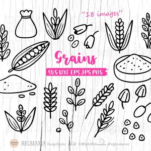 Granos SVG, archivo de corte de grano, paquete, trigo, cultivos, productos agrícolas, granja, cereal, maíz, arroz, avena, centeno, mijo, cebada, alimentos, PNG, clipart, descarga instantánea_AG4