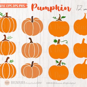 Pumpkin SVG file,Pumpkin svg bundle,DXF,Halloween,Pumpkin svg Cut file,Cutting,Cricut,Silhouette,Commercial use,Instant download_CF87