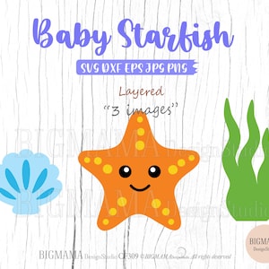 May include: A layered digital clipart set featuring a cartoon baby starfish with a smiling face, a blue seashell, and green seaweed. The text "Baby Starfish" and "Layered "3 images"" is included in the image.