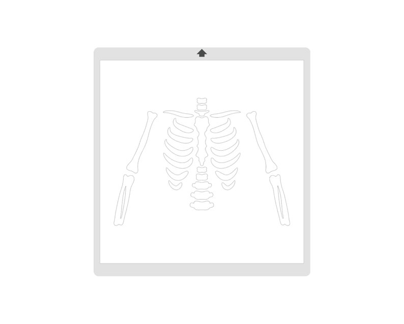 May include: A white digital drawing of a human skeleton, including the rib cage, spine, and arm bones. The image is displayed on a white background with a gray border and an arrow pointing upwards.