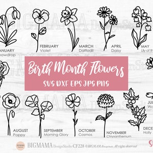 Geburtstag Blumen SVG,Wildflower,Birthday Flower,Bündel,DXF,Botanical,Floral,Gänseblümchen,Rose,Mohn,PNG,Cricut,Silhouette