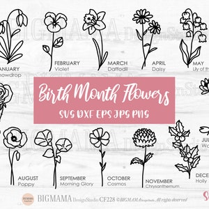 Birth Month Flowers Svg,Wildflower,Birthday Flower,bundle,DXF,Botanical,Floral,Daisy,Rose,Poppy,PNG,Cricut,Silhouette,Instant download_CF228