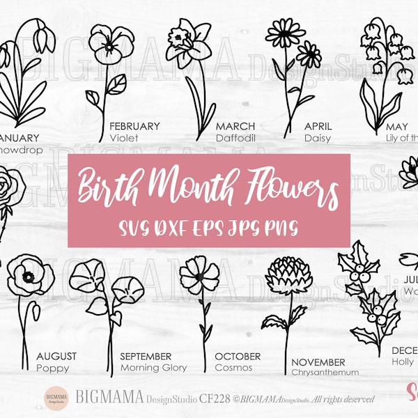 Birth Month Flowers Svg,Wildflower,Birthday Flower,bundle,DXF,Botanical,Floral,Daisy,Rose,Poppy,PNG,Cricut,Silhouette,Instant download_CF228