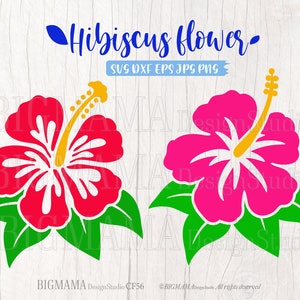Hibiskus SVG, DXF, Hibiskusblomma svg, Tropisk, Klippfil, Hawaiiblomma, Cricut, Siluett, Digital, Kommersiellt bruk, Direktnedladdning_CF56