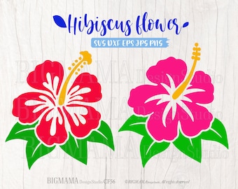 May include: Two hibiscus flower designs in red and pink, each with yellow stamens and green leaves. The text "Hibiscus Flower" is above the flowers, with file type options below. The design is set against a light wood grain background.