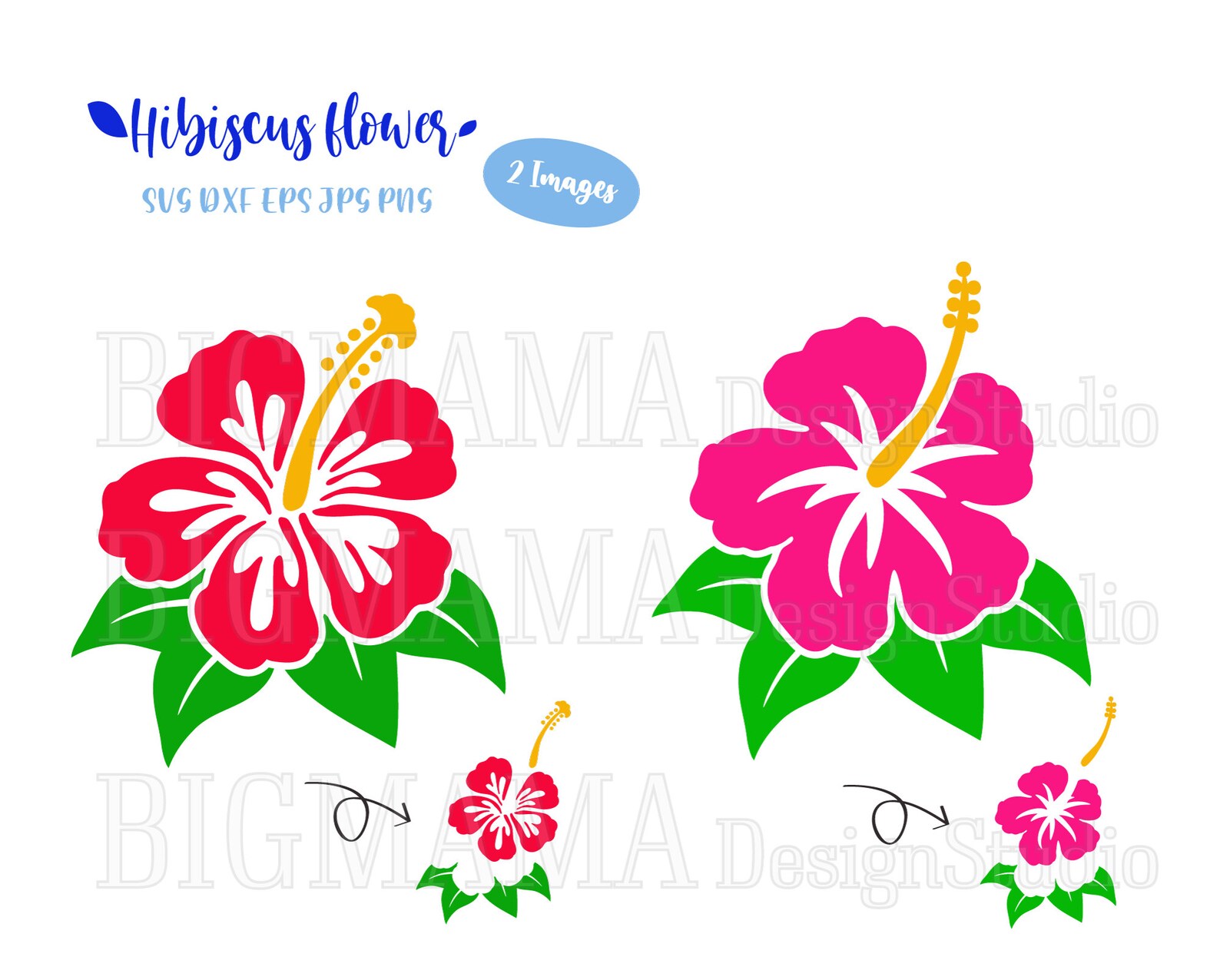 Hibiscus SVG DXF Flor de hibisco svg Tropical Archivo - Etsy España