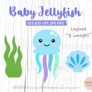 Cute Jellyfish SVG,Baby,Cut File,Layered,DXF,Sea Animal,Baby Shower,Birthday,CriCut,PNG,Kid,Vinyl,Silhouette,Instant download_CF245