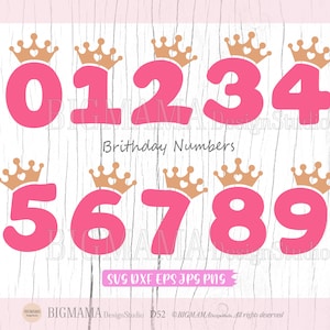Zahlen mit Krone SVG,Prinzessin,Geburtstag,DXF,Jahr alt,Kinder,Mädchen,Party,Dekor,Vinyl,Tshirt,Cut File,Age,PNG,Cricut,Cameo,Instant download_D52
