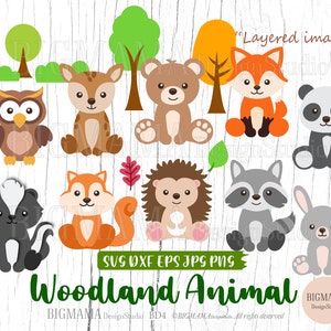 Animali del bosco SVG, File di taglio, Bundle, A strati, Orso Svg, Volpe, Renna, Compleanno, Coniglio, Carino, Foglia, Foglie, ClipArt, Silhouette, Download istantaneo_BD4