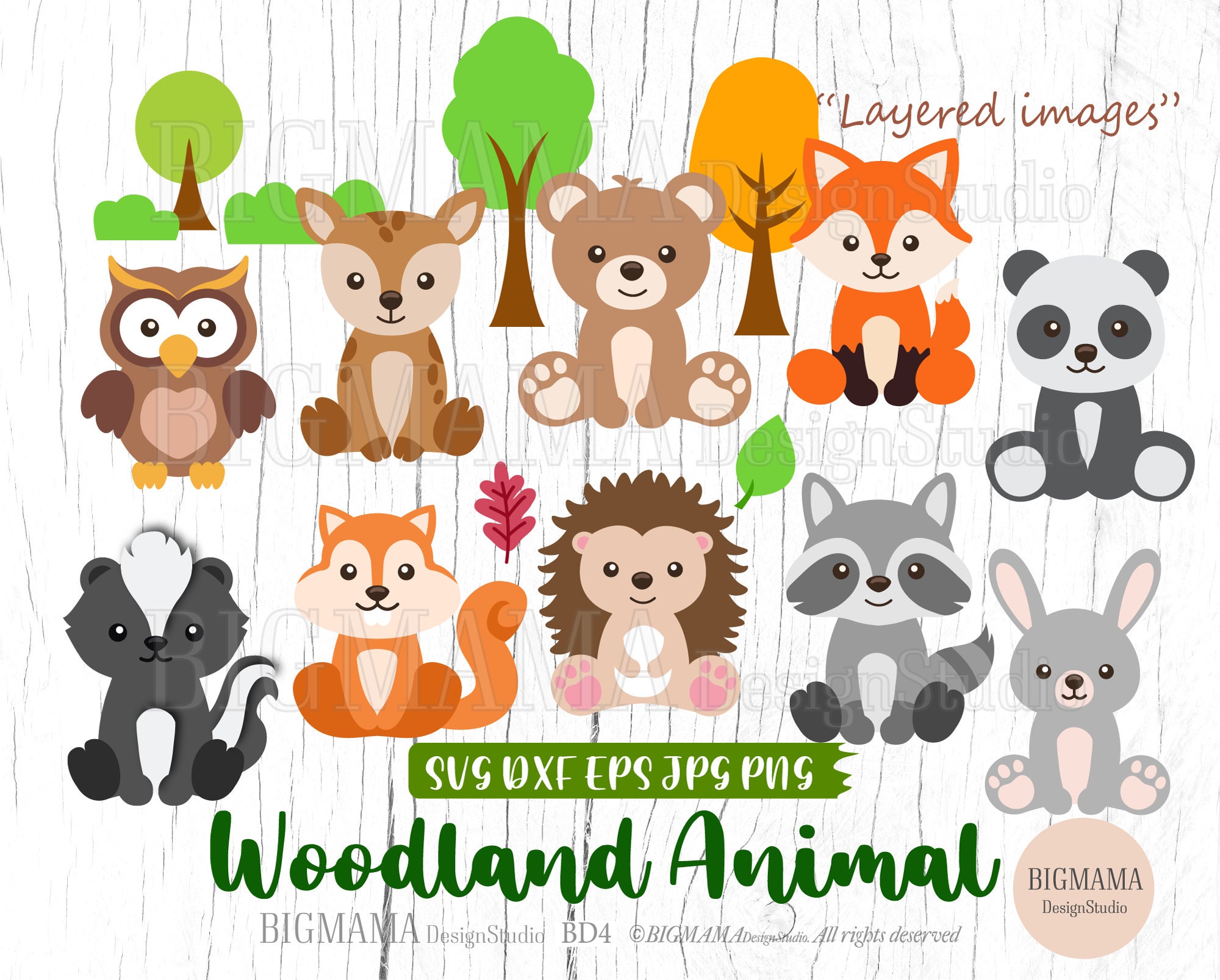 Pacchetto clipart, animali del bosco, download digitale, disegno e