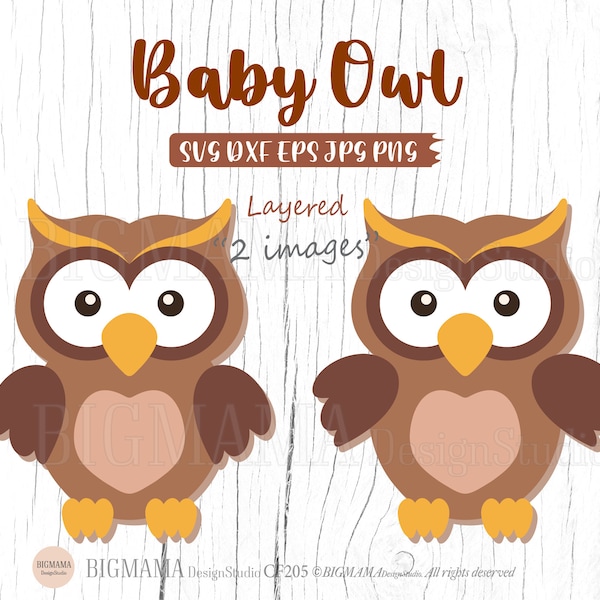 Bébé hibou SVG, Svg animaux des bois, pépinière, forêt, fichier Svg hibou, vinyle, hibou Svg pour Cricut, couches, DXF, Cricut, Silhouette, téléchargement instantané_CF205