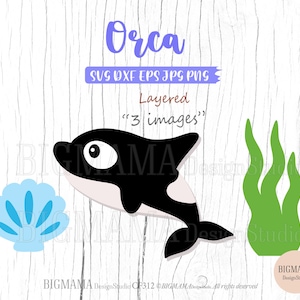 Puede incluir: Una ilustración de una orca en blanco y negro con una concha azul y algas verdes. El texto "Orca" está escrito en morado en la parte superior de la imagen. El texto "Layered" y "3 images" está escrito en marrón debajo de la orca. El texto "SUS DXF EPS JPG PNG" está escrito en morado debajo de la palabra "Orca".