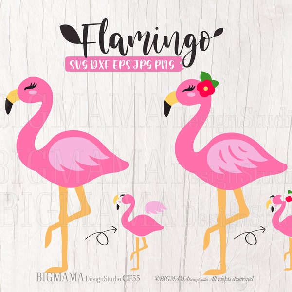 Flamingo SVG,Flamingo SVG cut file,Flamingo PNG,Flamingo svg for Cricut,Silhouette,Commercial use,Instant download_CF55