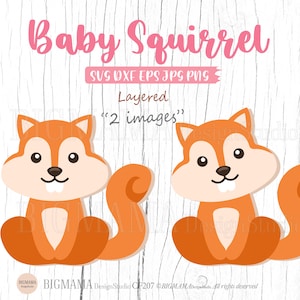 Bébé écureuil SVG, animaux de la forêt, pépinière, fichier Svg écureuil, vinyle, écureuil Svg pour Cricut, couches, DXF, Silhouette, téléchargement instantané_CF207