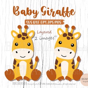 Baby Giraffe SVG,Giraffe Svg For Cricut,Cut File,Layered,DXF,Safari Animals Svg,PNG,Clipart,Vinyl,Silhouette,Instant download_CF196