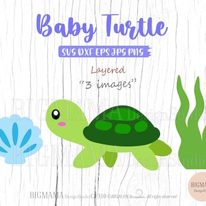 Süße Schildkröte SVG,Baby,Layered,DXF,Meerestier,Geburtstag,Turtle Cut File,Cricut,Ocean,PNG,Kids,Shell,Clam,Silhouette,Instant download_KF310