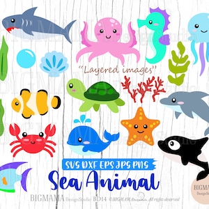 Sea Animals SVG,Cut File Bundle,Starfish,Octopus,Jellyfish,Dolphin,Turtle,Birthday,Cute,Clam,Shell,Cricut,Silhouette,Instant download_BD14