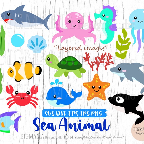 Sea Animals SVG,Cut File Bundle,Starfish,Octopus,Jellyfish,Dolphin,Turtle,Birthday,Cute,Clam,Shell,Cricut,Silhouette,Instant download_BD14