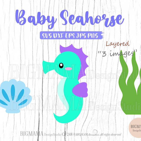 Cute Seahorse SVG,Baby,Sea Horse Cut File,Layered,DXF,Sea Animal,Baby Shower,Birthday,CriCut,PNG,,Vinyl,Silhouette,Instant download_CF248