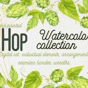 Imágenes prediseñadas de plantas de lúpulo de acuarela pintadas a mano. Planta de lúpulo verde sobre fondo transparente. Imágenes prediseñadas digitales. Descarga instantánea de imágenes. PNG