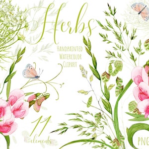 Clipart de fleurs sauvages. Clipart floral à l’aquarelle. Plantes peintes à la main Herbes sauvages Printemps Été Prairie Herbes Fleurs. Bouquets de mariage.  Papouasie-Nouvelle-Guinée